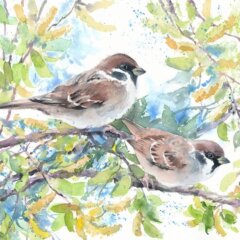 Sermon of the Sparrows