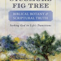The Promise of Waiting: Spiritual Maturation in The Sycomore Fig Tree