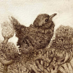 First Words of an Infant Bird